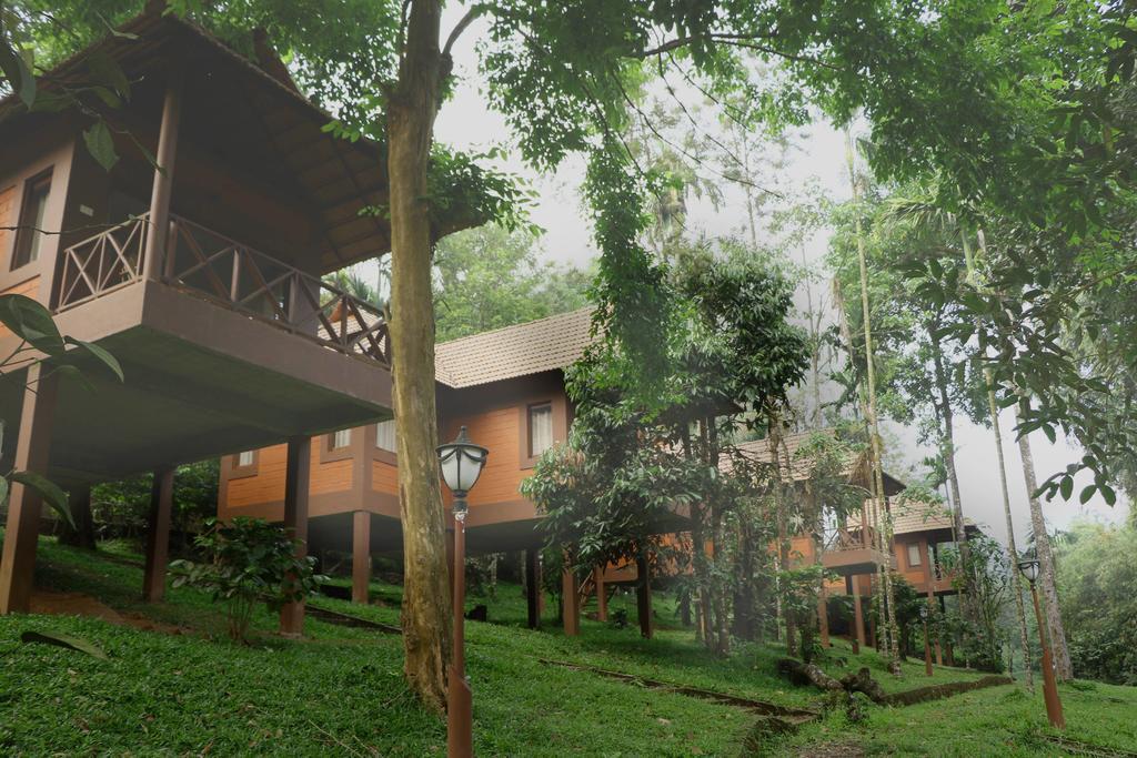Marg Stream Valley Vythiri Rum bild